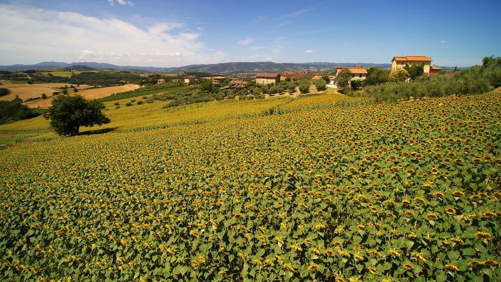 Colle San Giovanni Todi Exterior photo